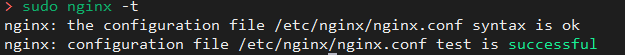 nginx -t