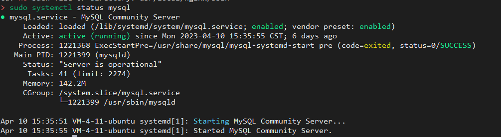 mysql status